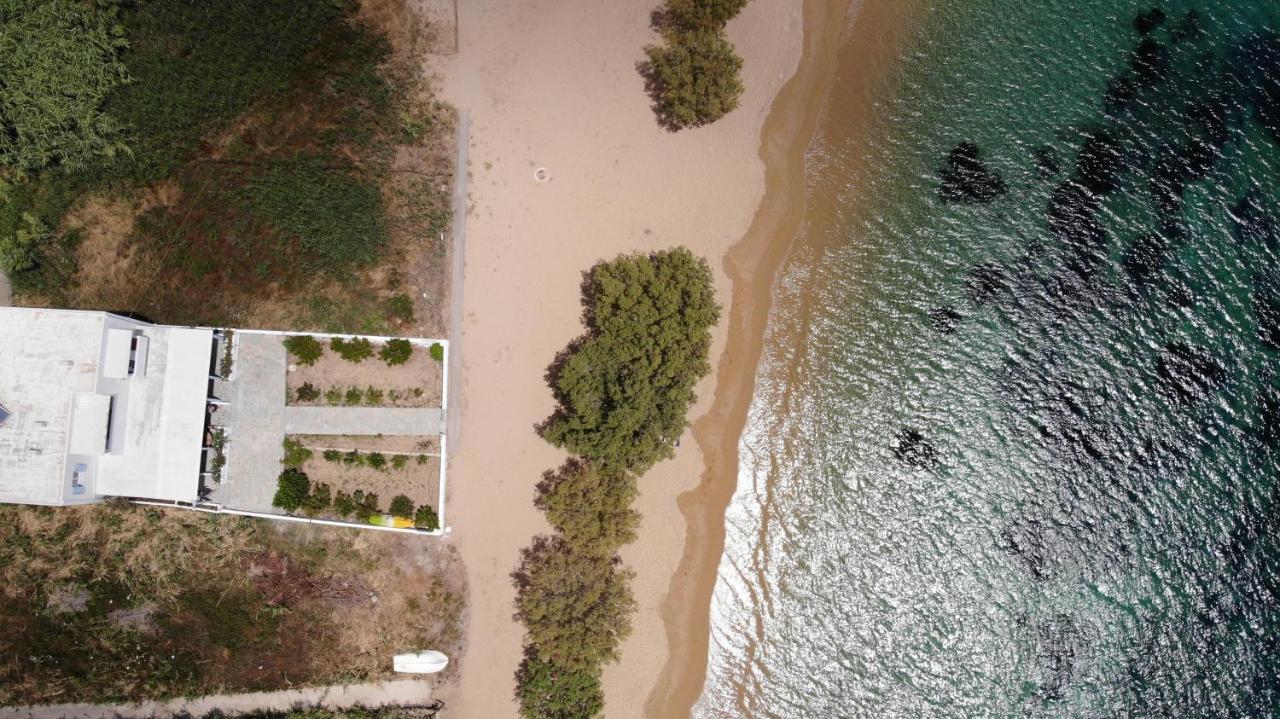Galazio Seaside Apartments Livadakia Luaran gambar